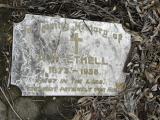 image of grave number 370609